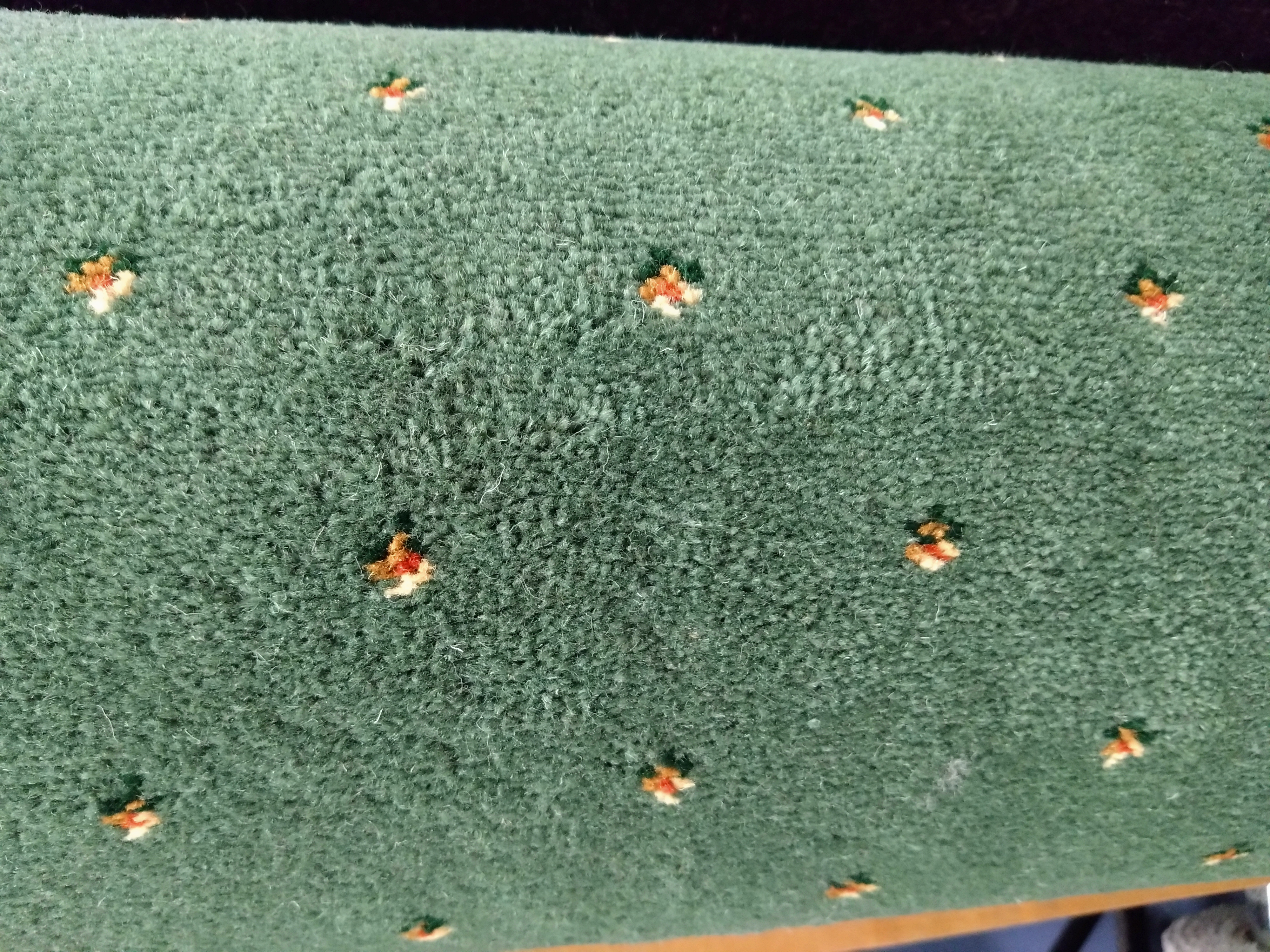 >ULSTER ATHENIA PINDOT GREEN 